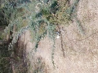 Bridge Nichey Chudayi Outdoor Village Sex free video